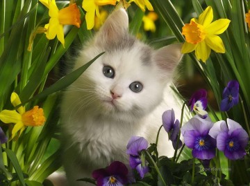 Cat Painting - cute cat photo in flowers